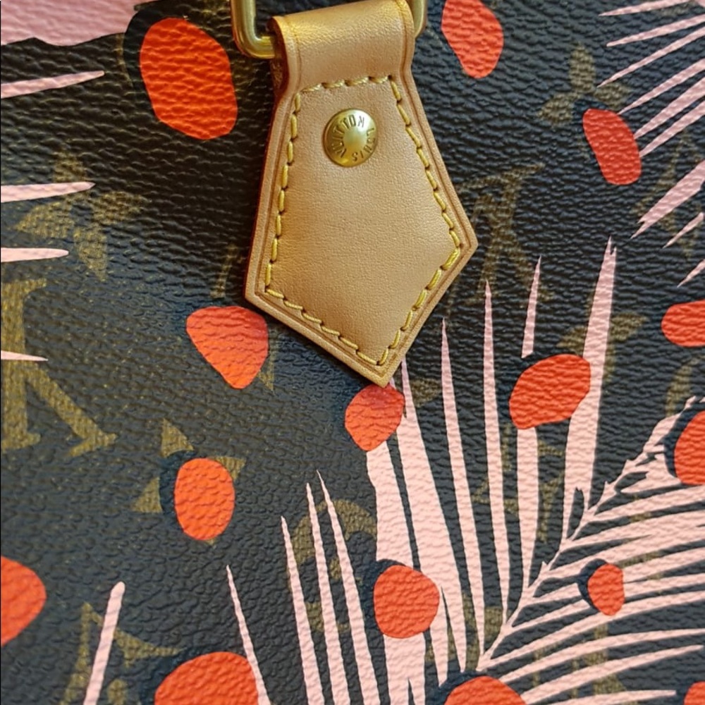 Louis Vuitton limited edition Stunning jungle dots speedy 30 - Picture 5 of 8
